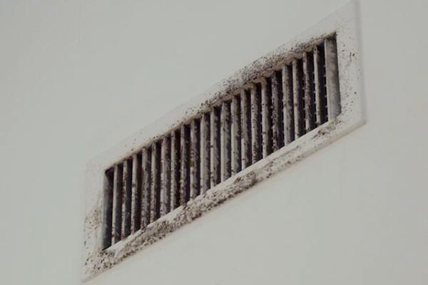 Black-Mold  Quality Air Duct Cleaning Services in Greater Toronto Area