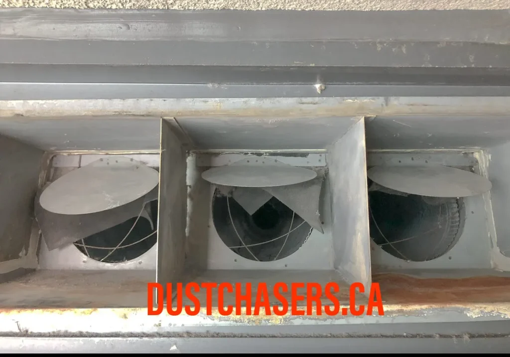 Condo-Dryer-Hose-Cleaning