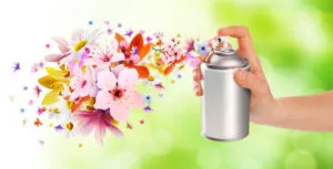 What is the best home made natural air freshener